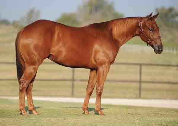 Royal Keyt
